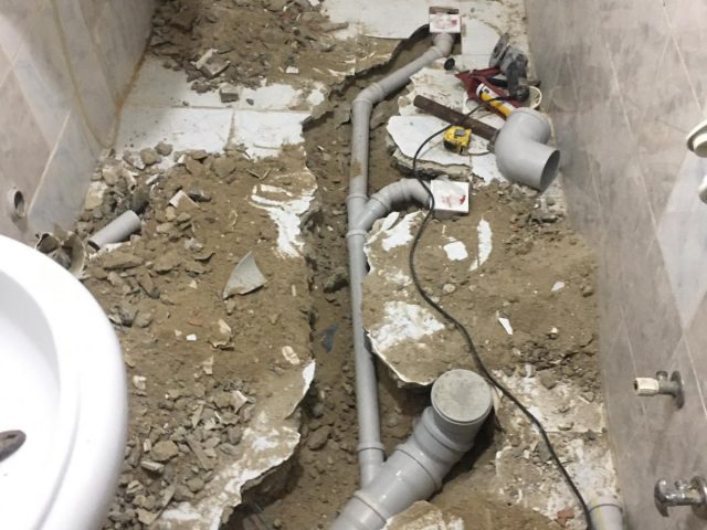 Duis fermentum felis